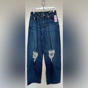NWT Wild Fable super High- Rise Baggy Jeans, size 8